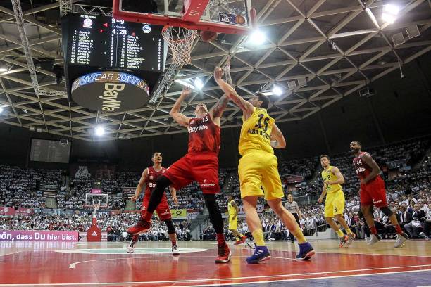 在面对灰熊 在面对灰熊